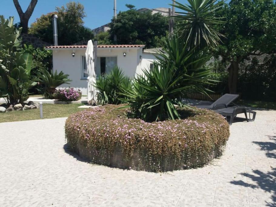 Casa Vacanza M&C Ischia Forio (Isola d'Ischia) Exterior foto